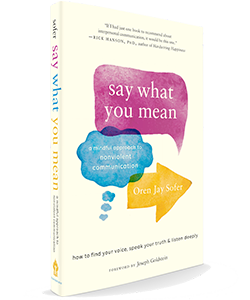 Say What You Mean by Oren Jay Sofer