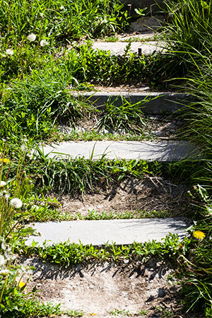 Stairs on a path