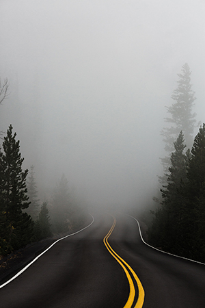 Foggy Road