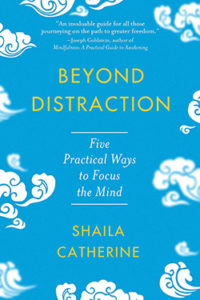 Beyond Distraction by Shaila Catherine