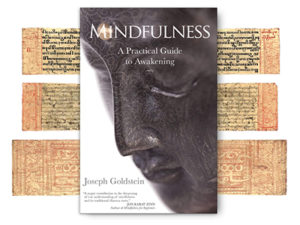 Mindfulness by Joseph Goldstien