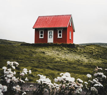 Little red house on a hill with flowers in the foreground