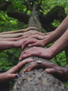 Hands on a tree